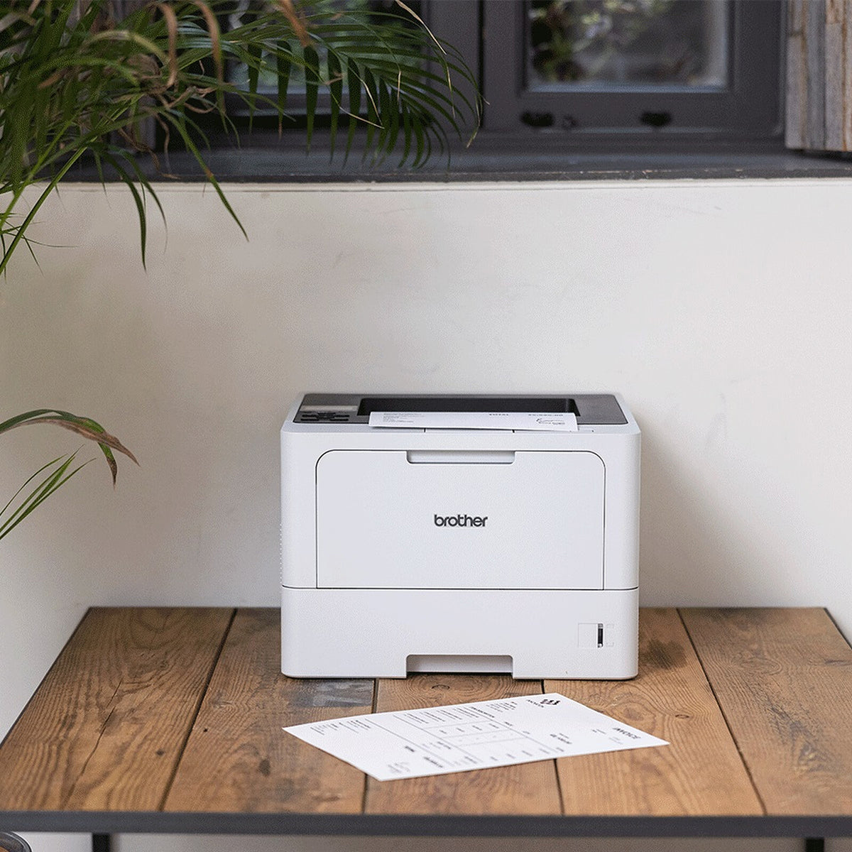 Brother HL-L5120DN economico