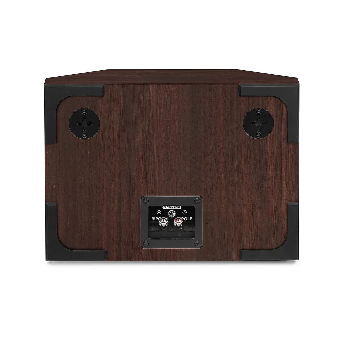 Acquista Triangle Borea BRS1 Walnut