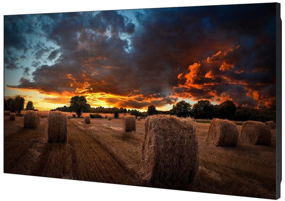 Samsung VM55B-U 55" Display