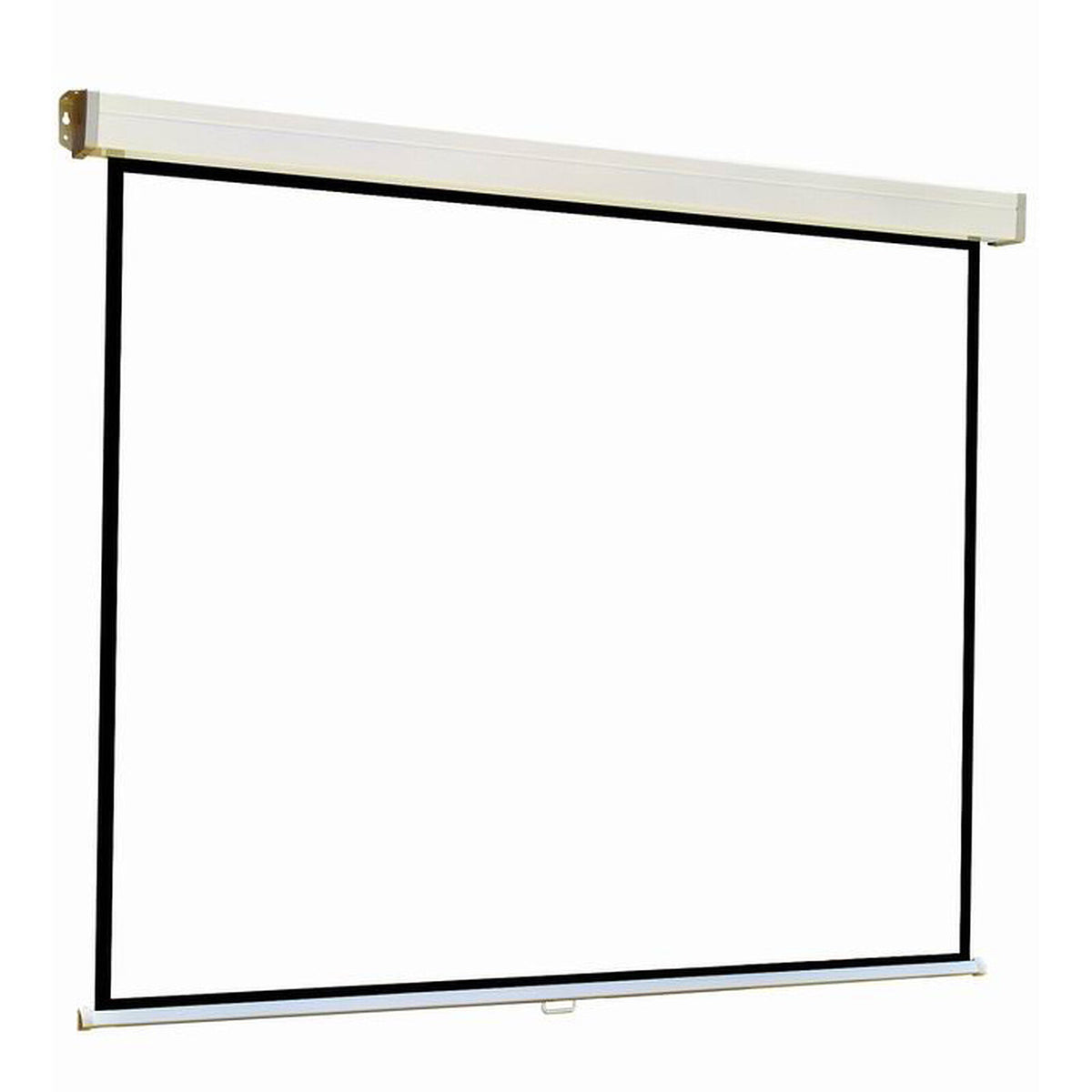 INOVU PMS180 Schermo manuale - Formato 1:1 - 180 x 180 cm