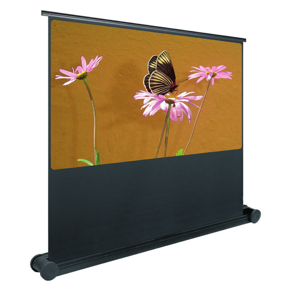Oray Butterfly BUT02B1112200 schermo portatile - formato 16:9 - 110 x 200 cm