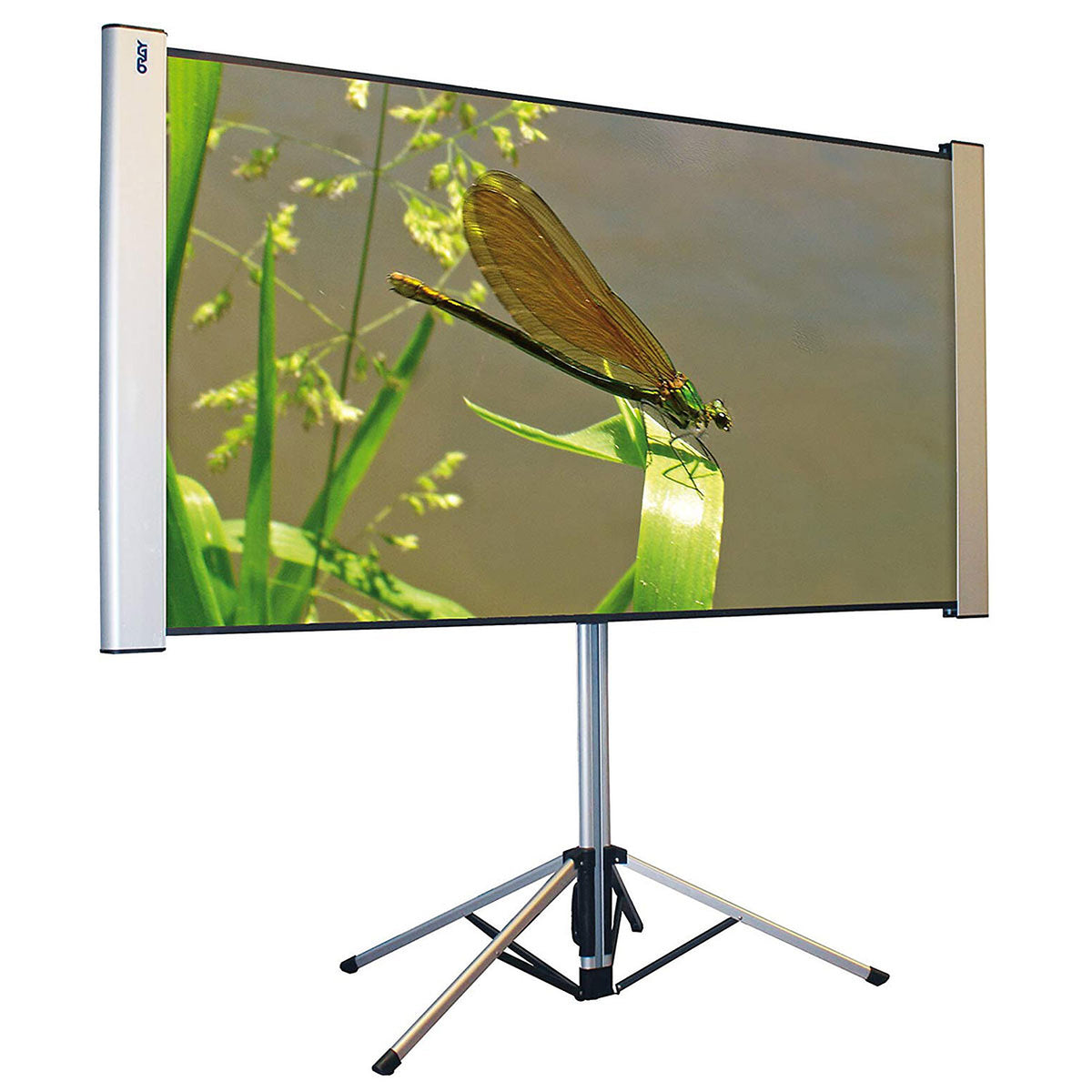 Oray Dragonfly DRA01B1101180 schermo portatile - avvolgimento orizzontale - multiformato 4:3/16:10/16:9 - 101 x 180 cm