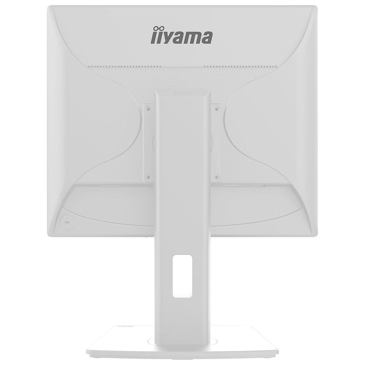 Acquista iiyama 19" LED - ProLite B1980S-W1