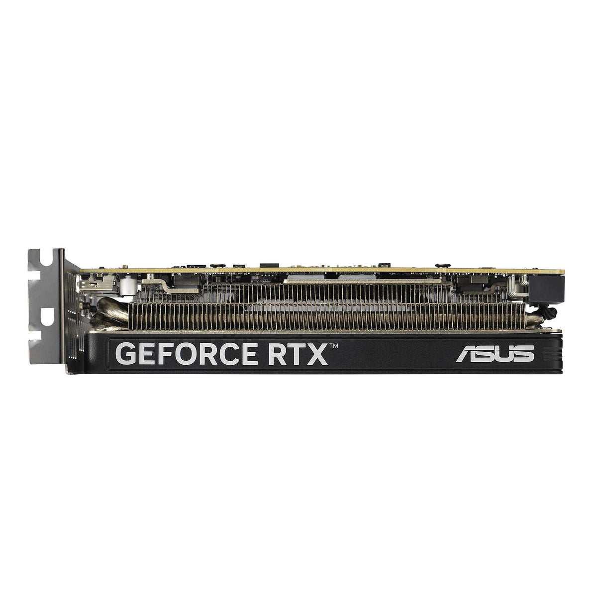 Acquista ASUS GeForce RTX 5060 LP BRK 8GB GDDR7 OC Edition