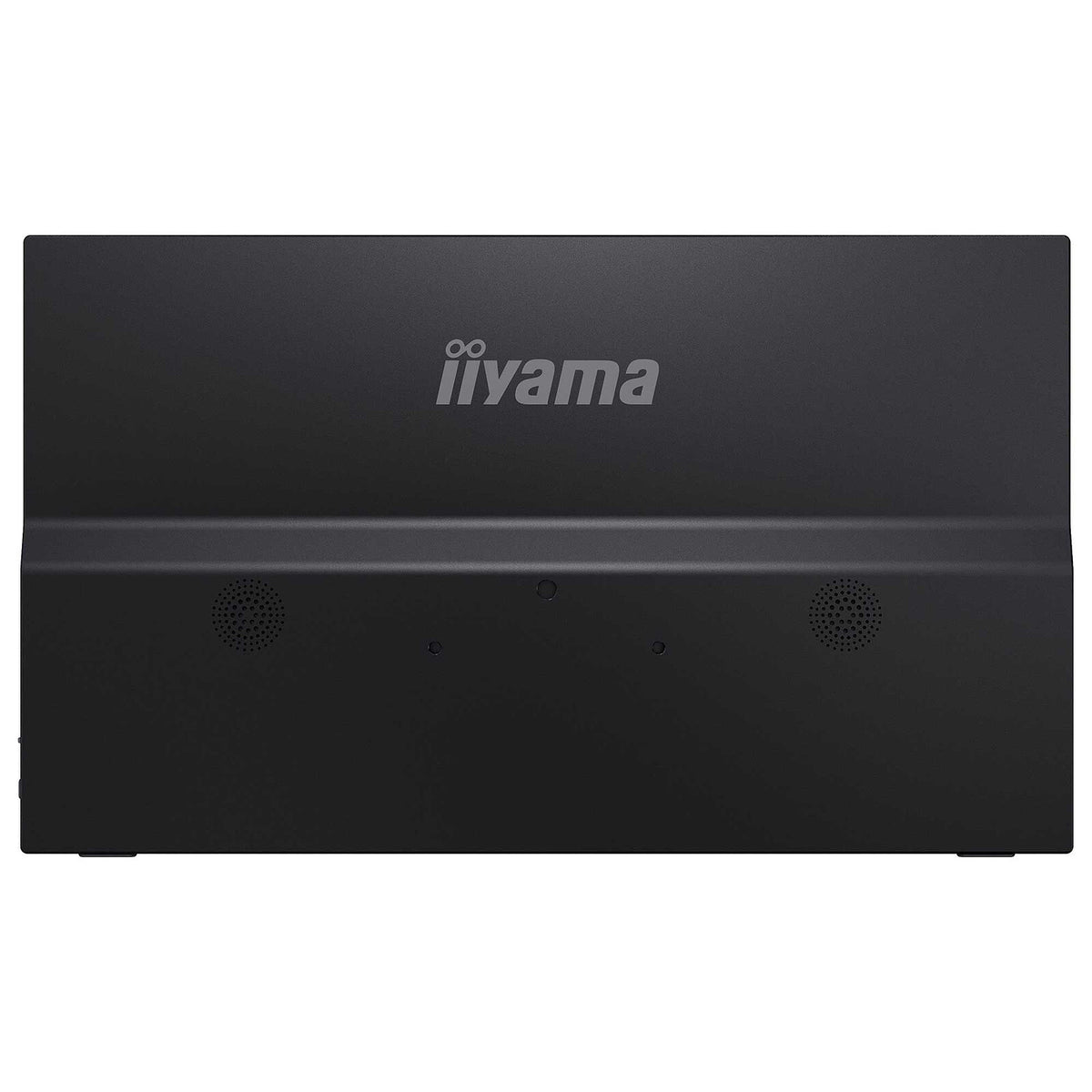 Acquista iiyama 15.6" LED - P1671HSC-B1