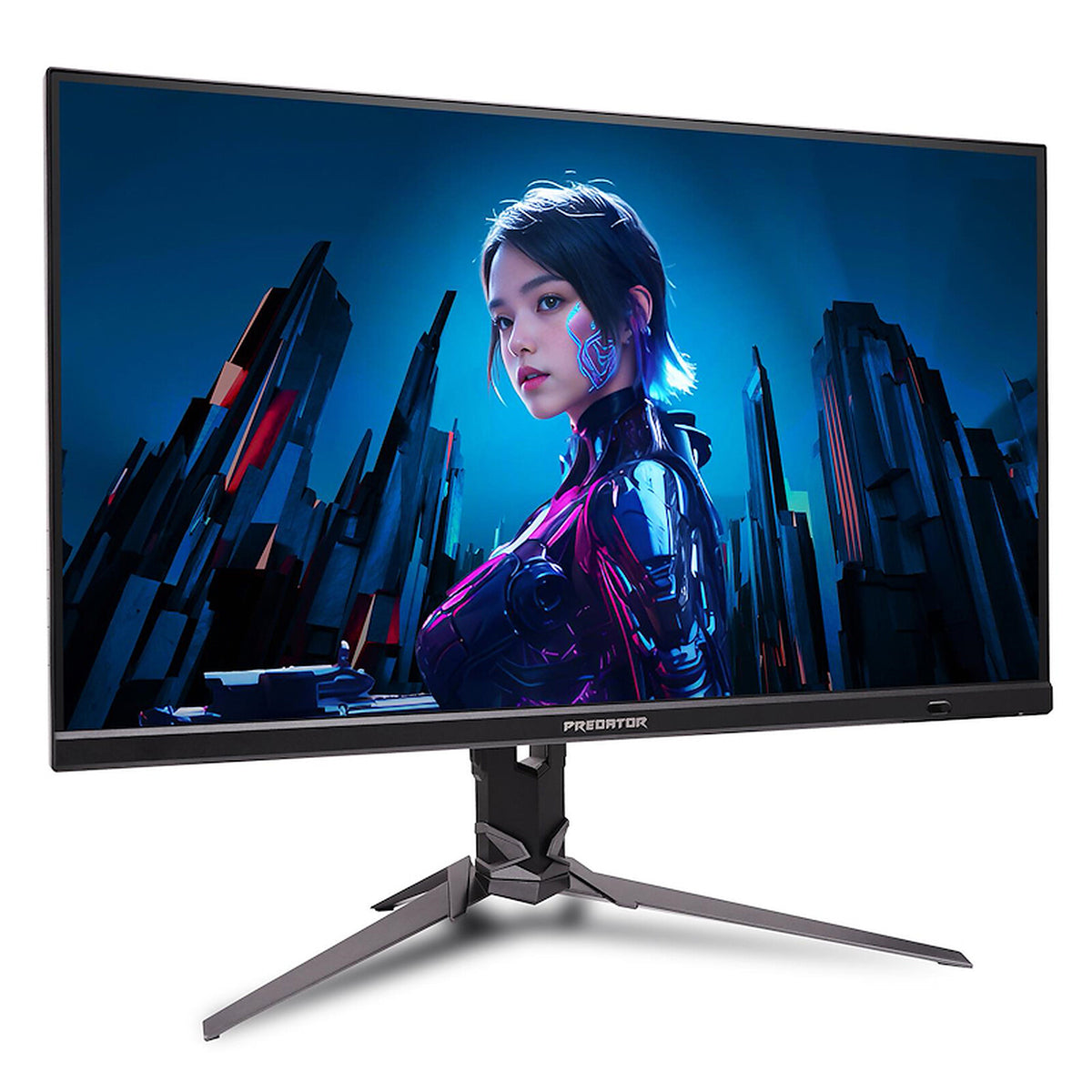 Monitor PC