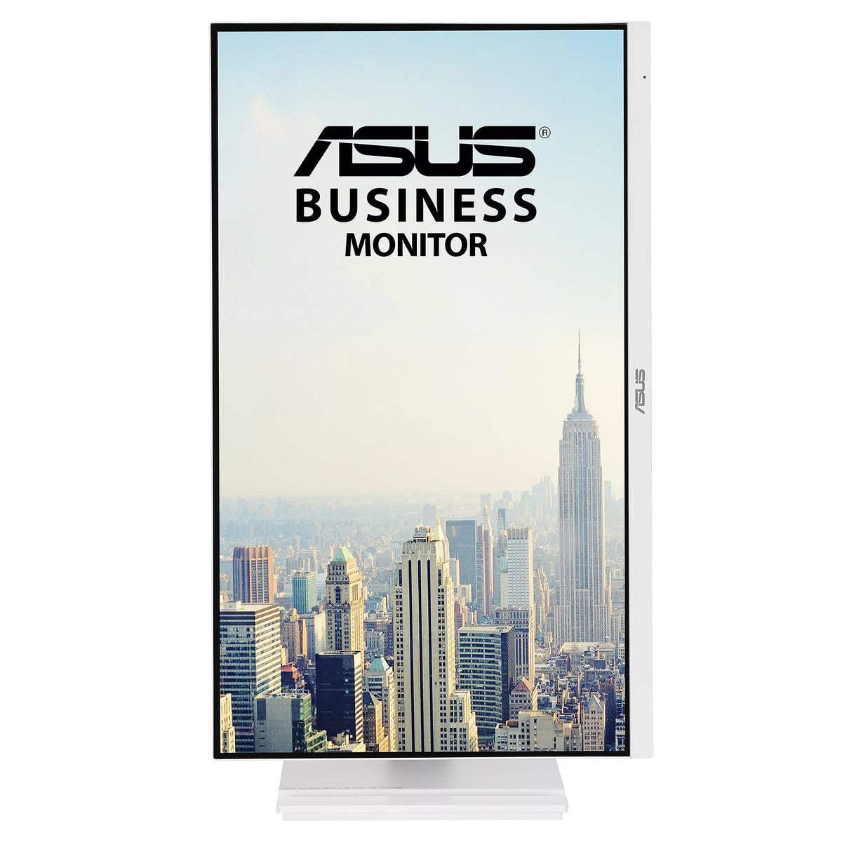 Monitor PC