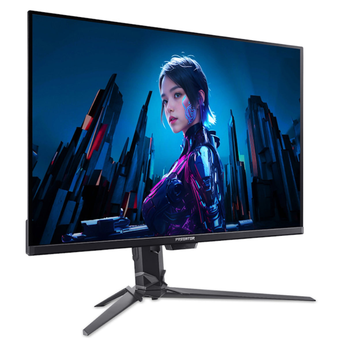 Monitor PC
