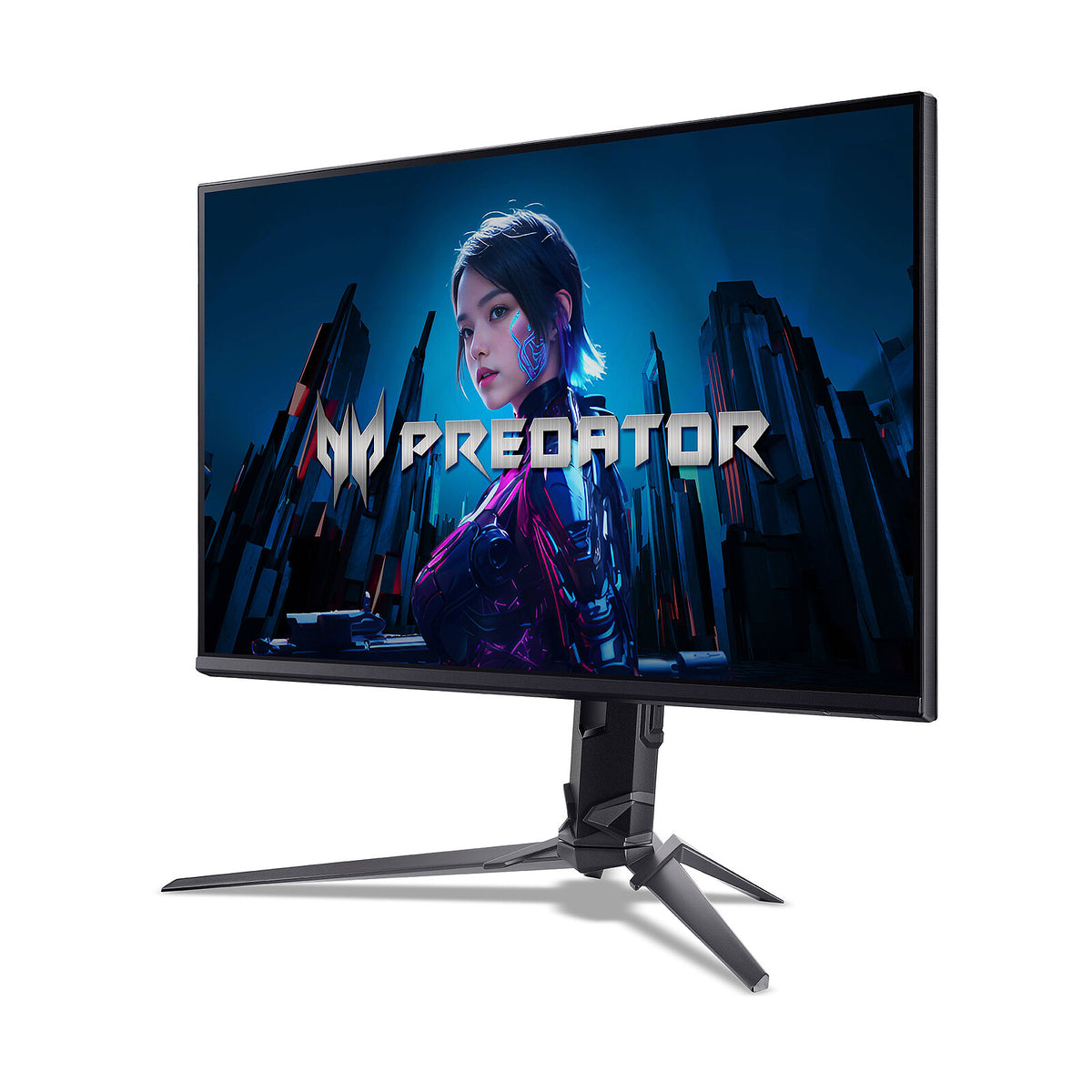 Monitor PC