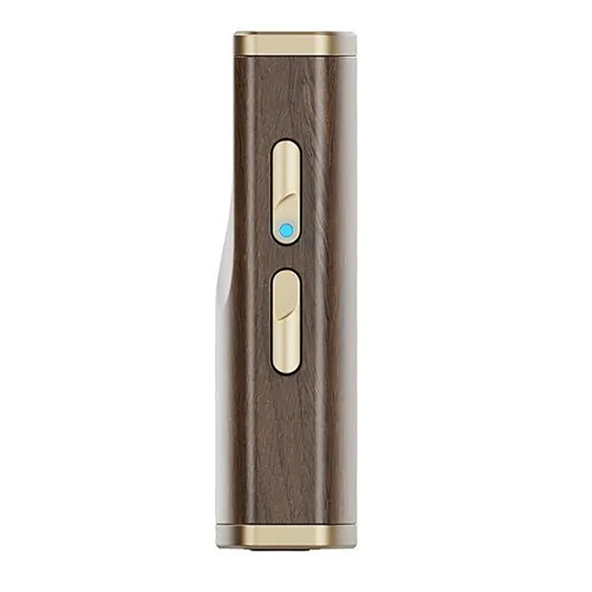 Acquista FiiO Snowsky Melody Noce
