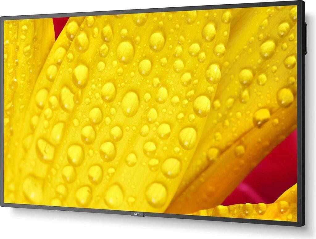NEC MultiSync ME431 43" Display