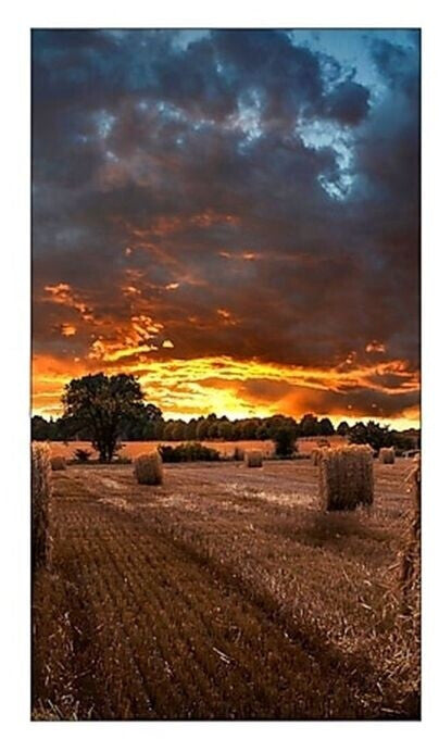 Samsung VM46B-U 46" Display